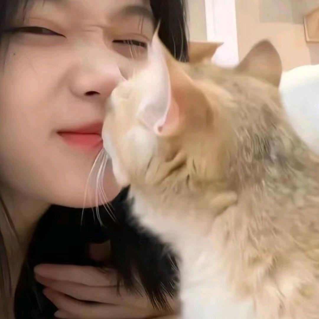 小桃子迪滴帝～