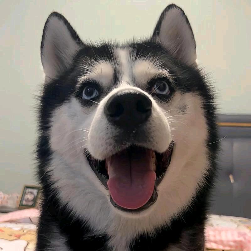 饿了么呀