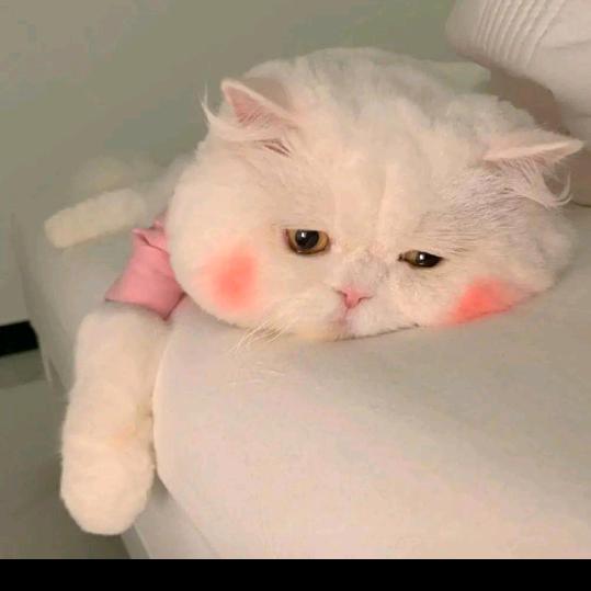 淡淡一笑而过，拒绝私聊