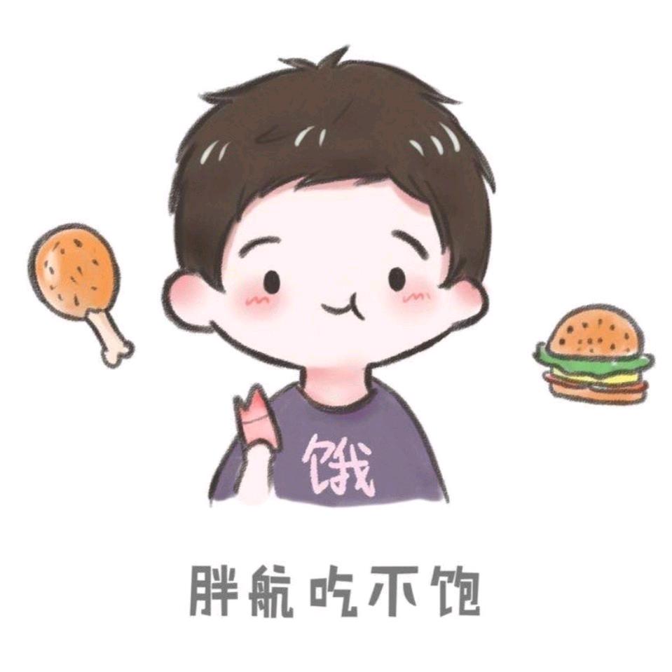 就是胖航