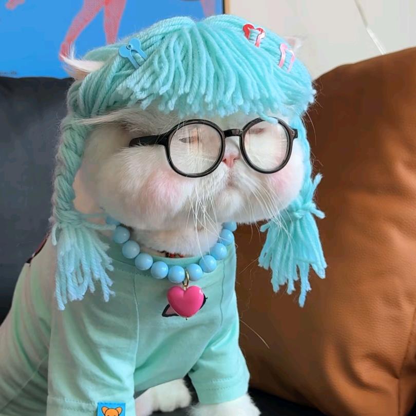皮蛋solo粥