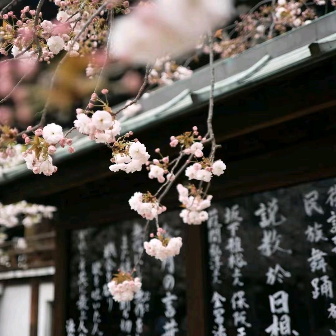 静缘阁