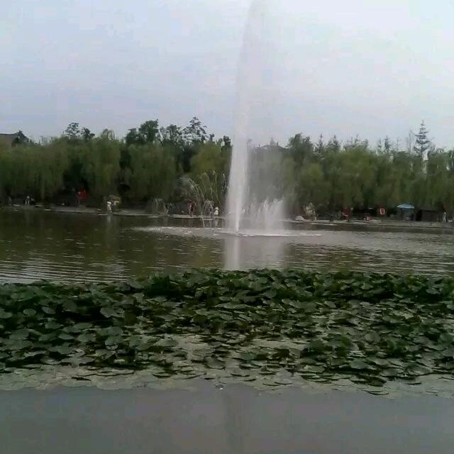 安之若素(๑˙拒私聊˙๑)