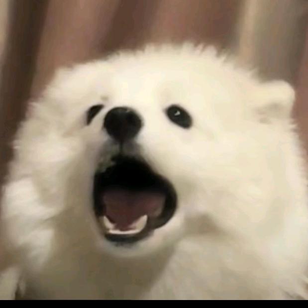 平安健康万事顺意