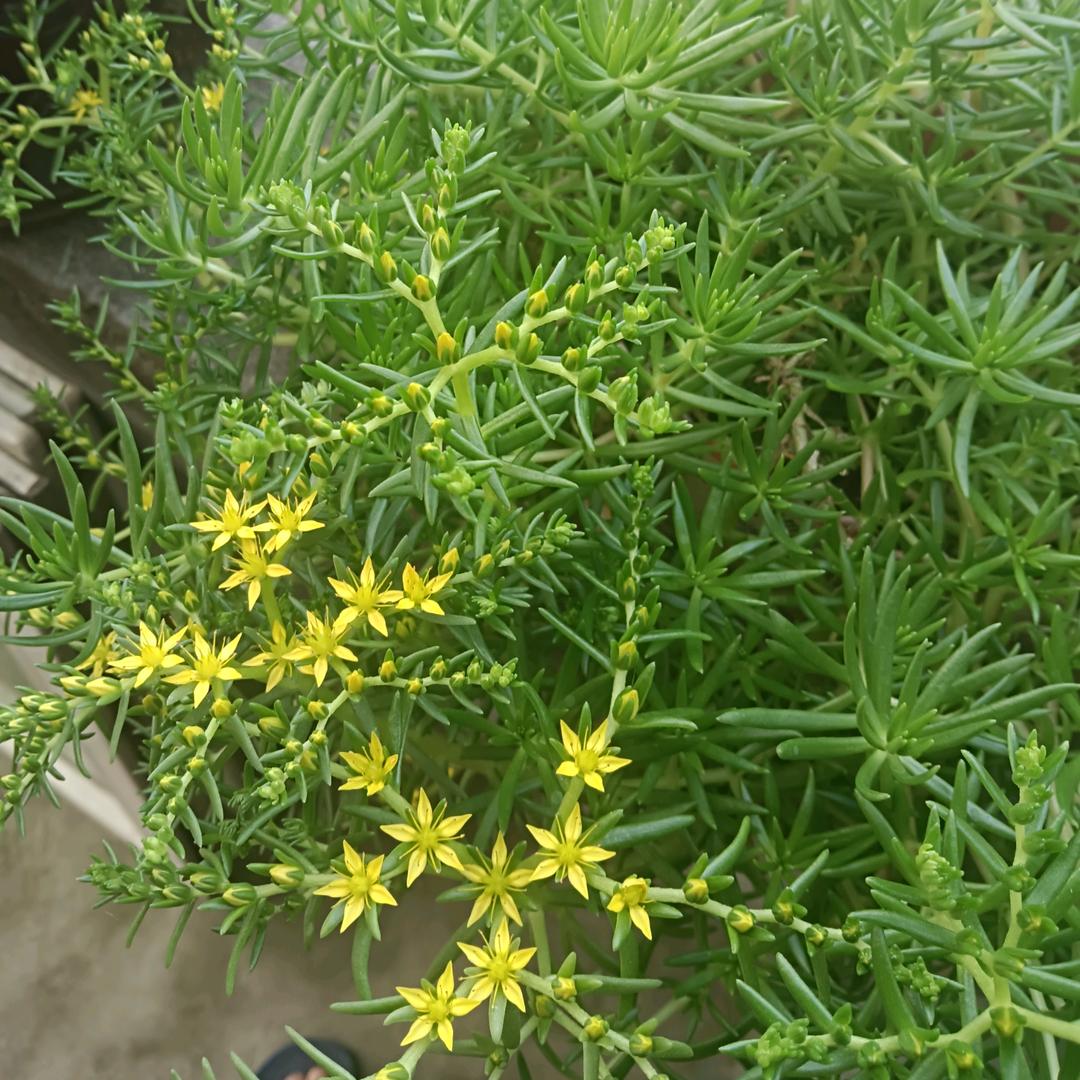 有你一生相伴高