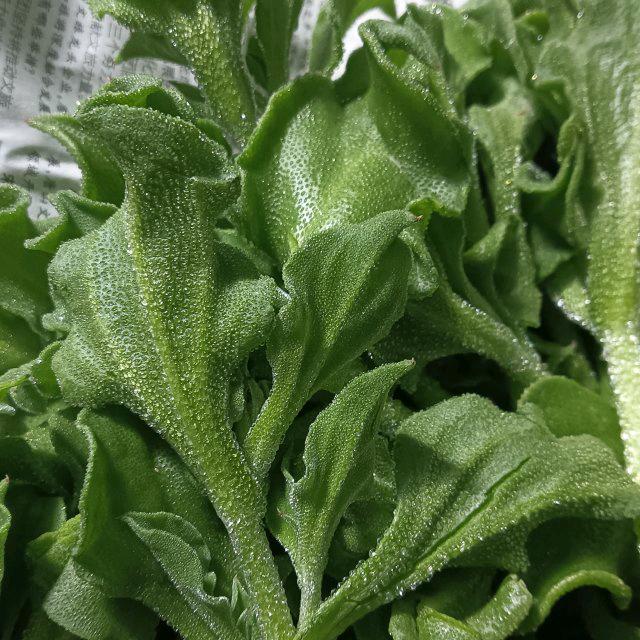 小王百货