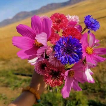 听我说—谢谢你