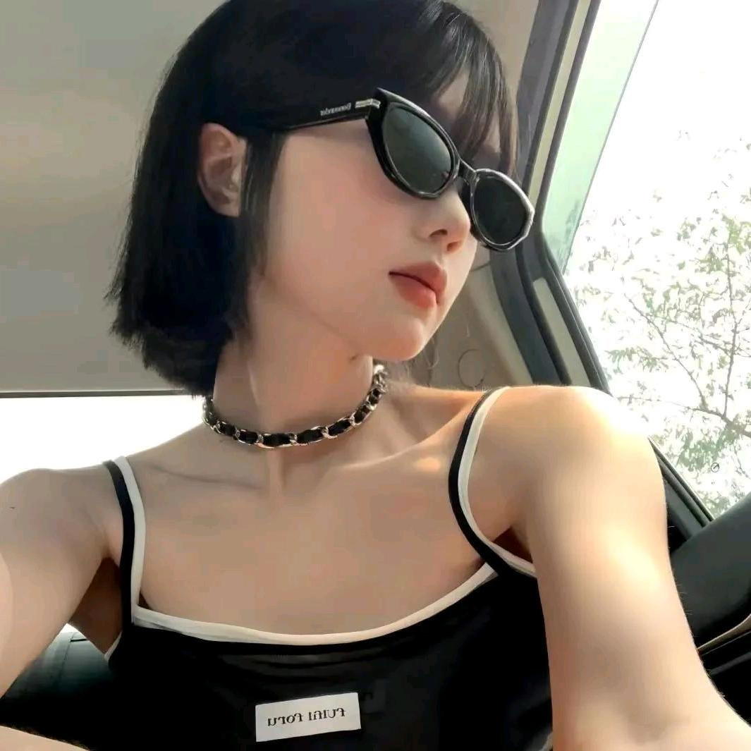 鸿鹄遨翔
