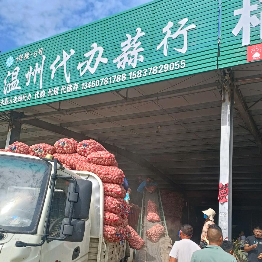 温州代办大蒜哥