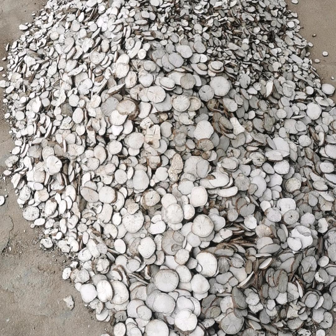 百润康