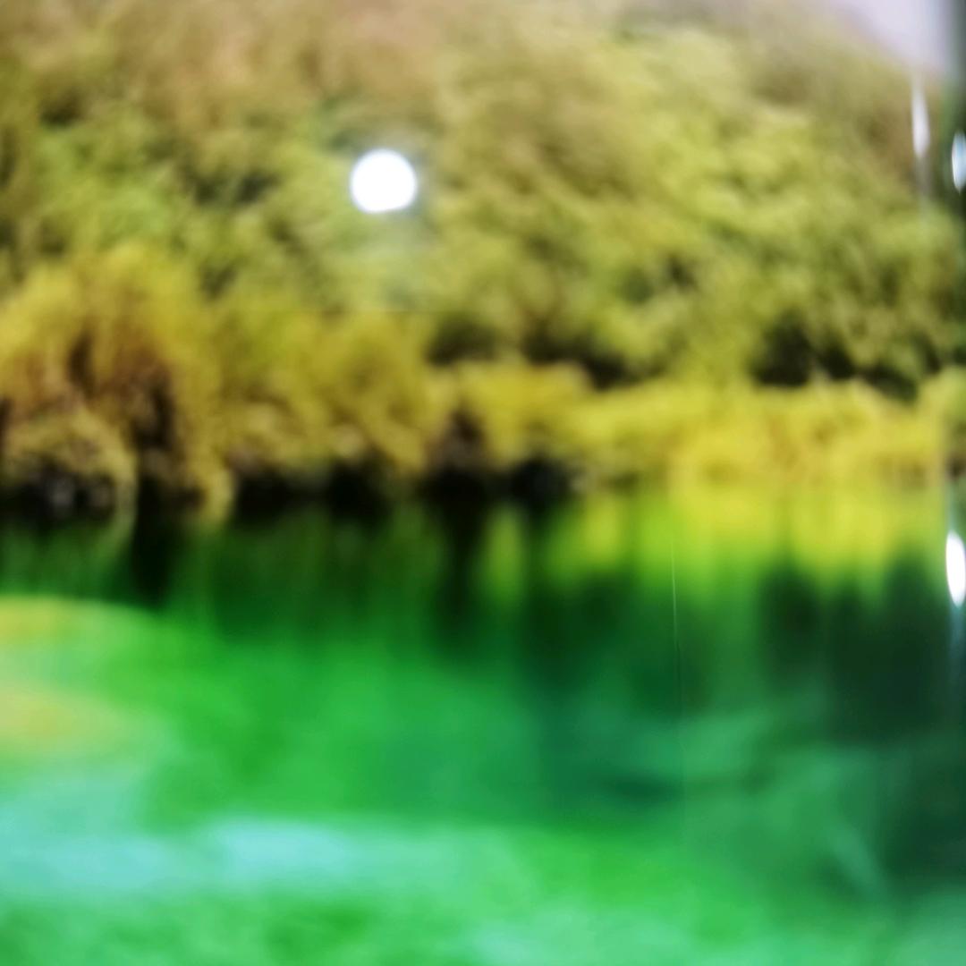 临汾市尧都区鼓楼西街道永玲氧发堂店