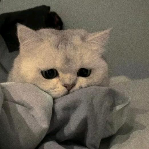 少吹风