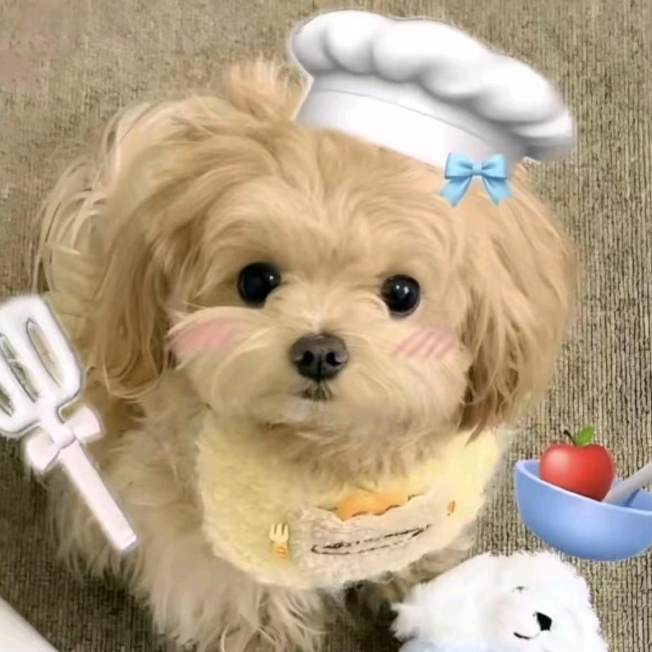 今天也是顾小五