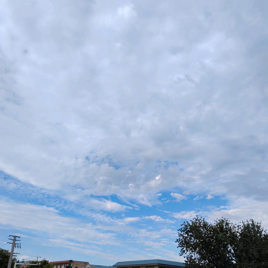 生活聊愈师