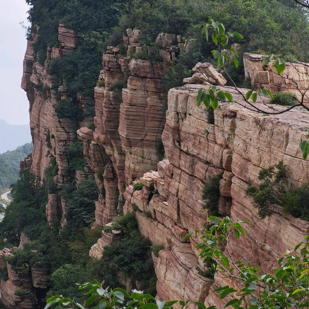 我是71年的小金猪