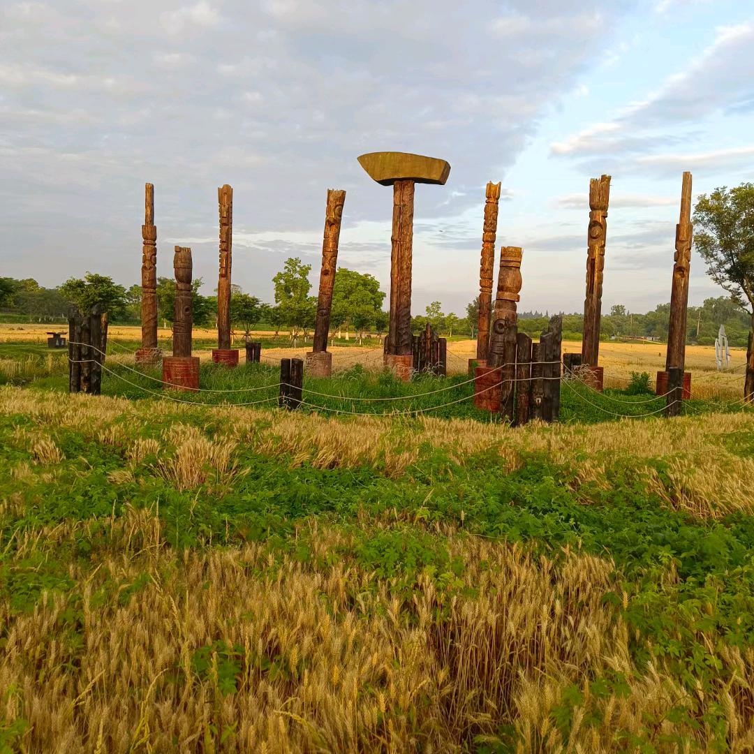 余生☂️随心❤️