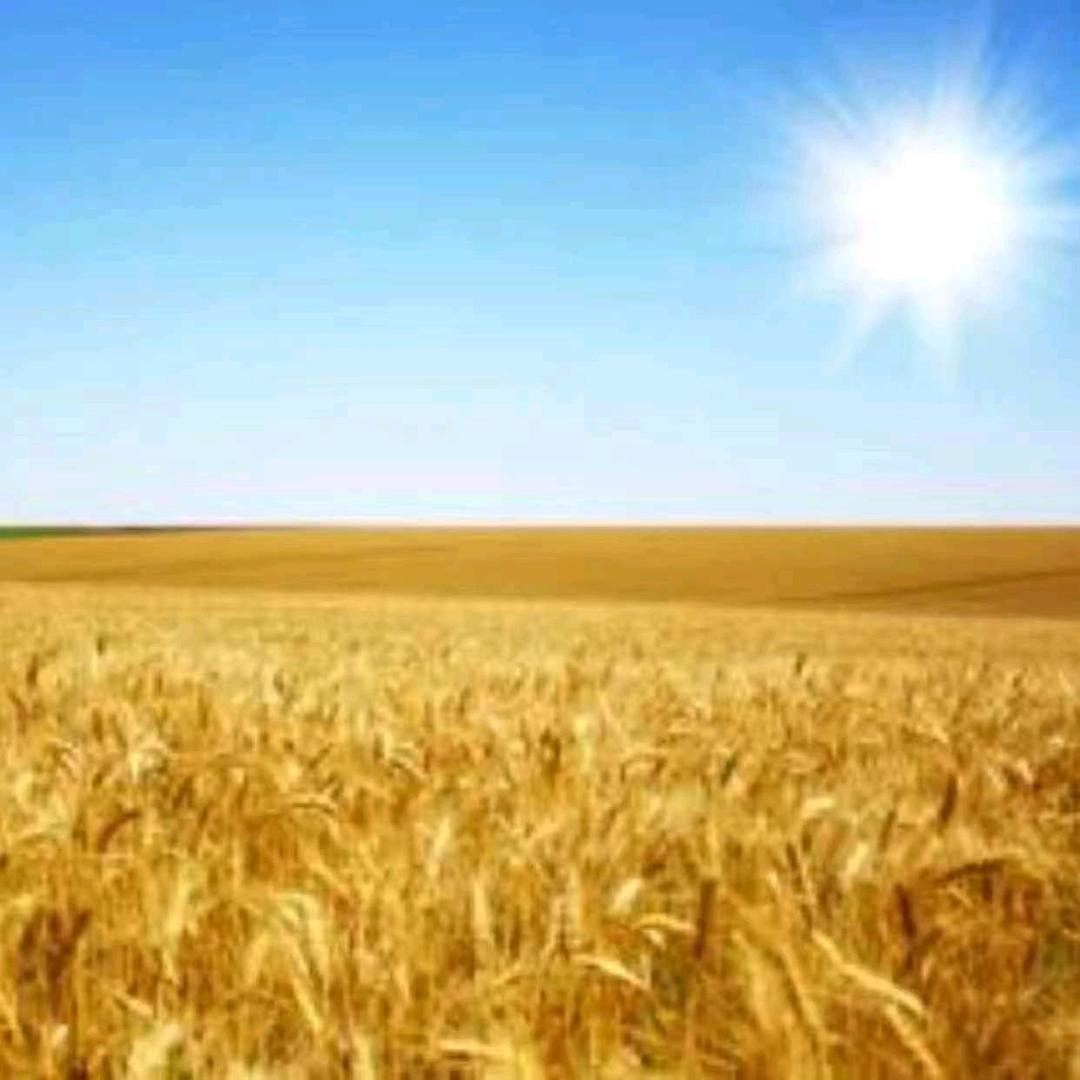 中澜福木业宋杨