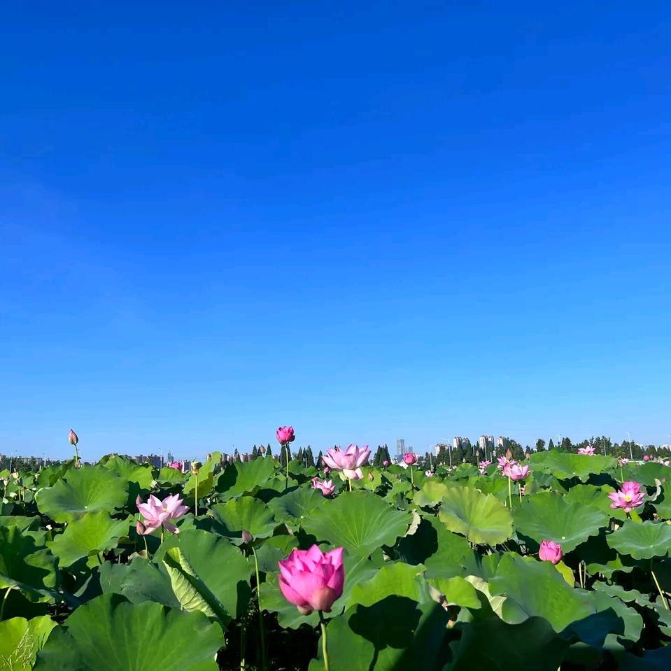 内蒙古通辽市：张建军