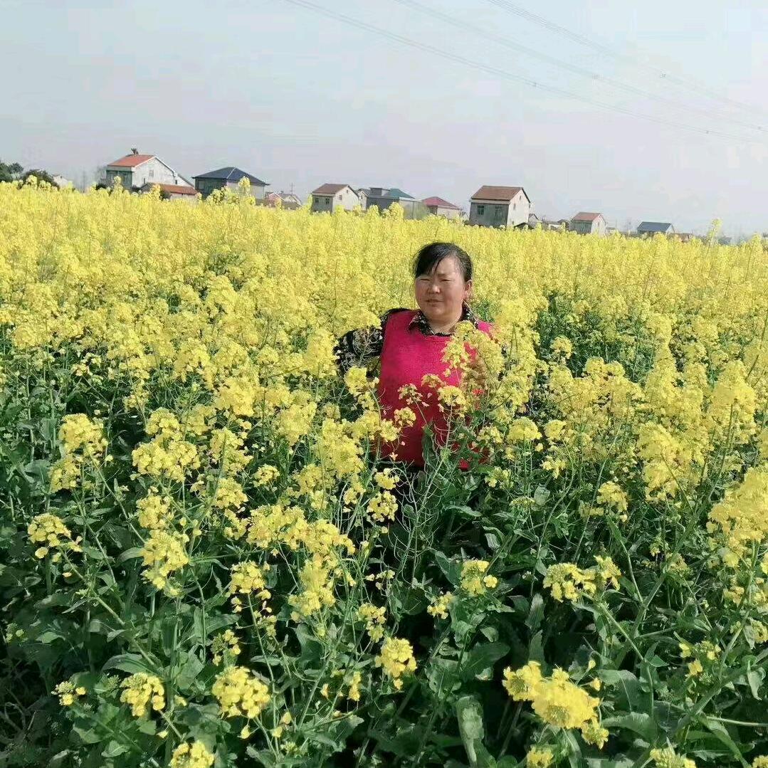 农村人周五姐