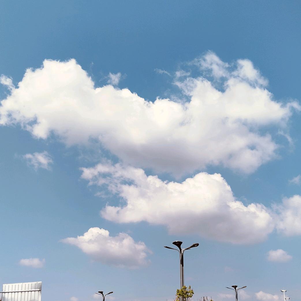 A五月