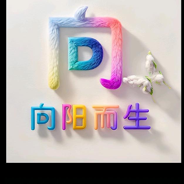 贵州快餐妹