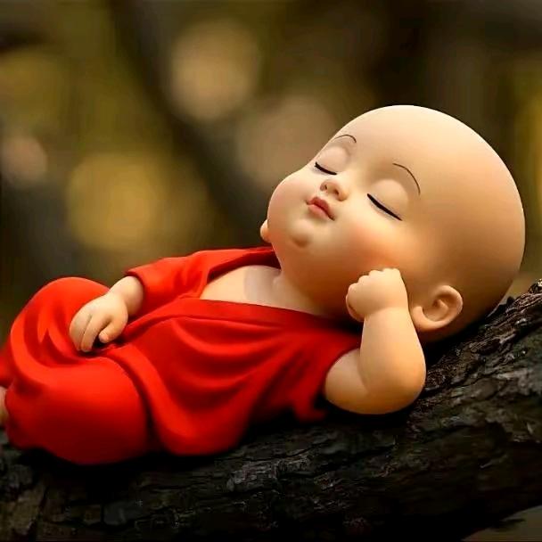 ✨✨余生随❤✨✨