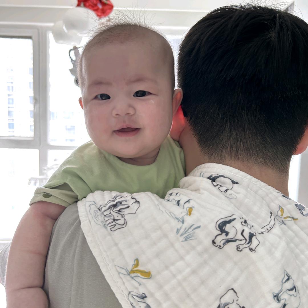 小红豆爸爸