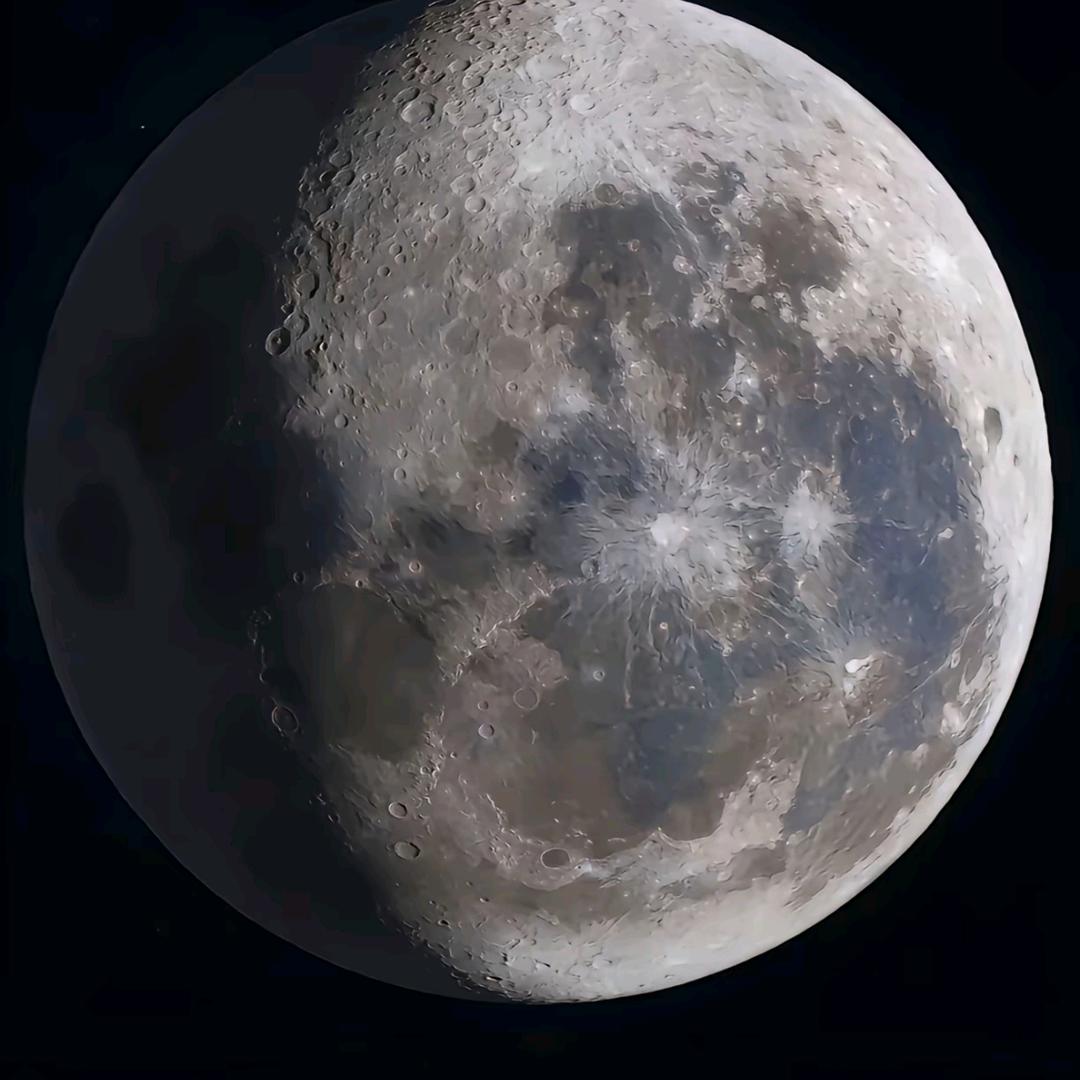 虫虫 　　　　　　　　　　　　 广告X