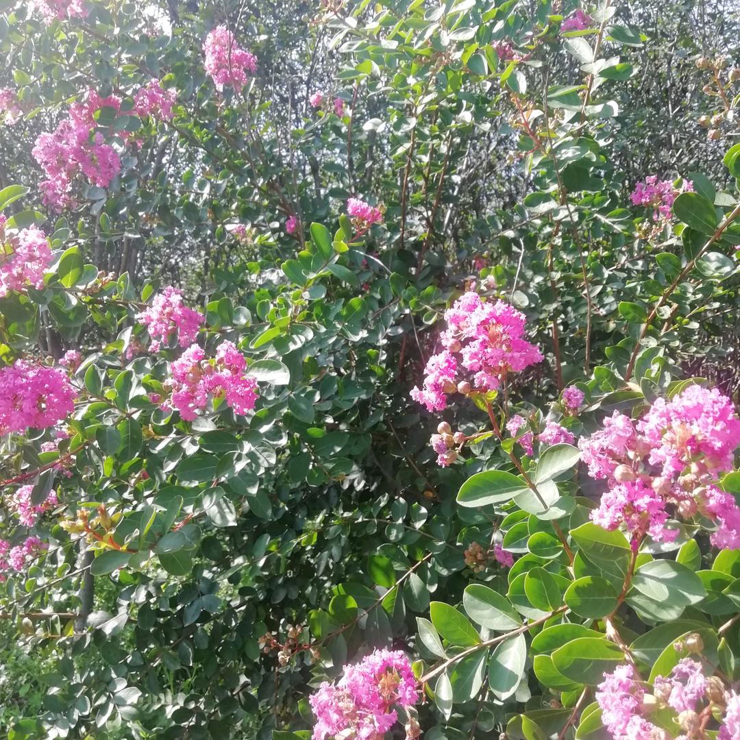 丽丽讲实话