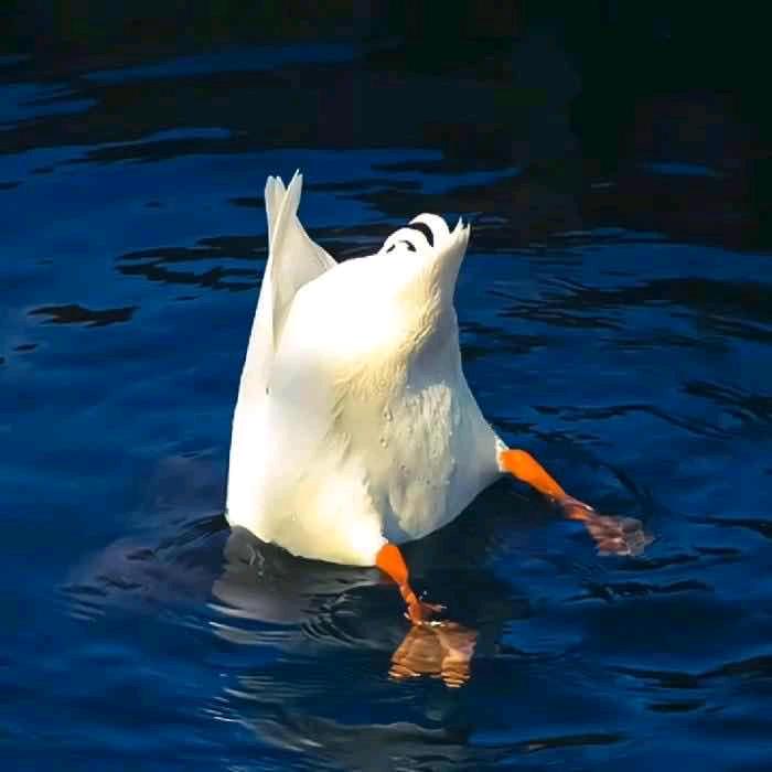 心事全在手上👋