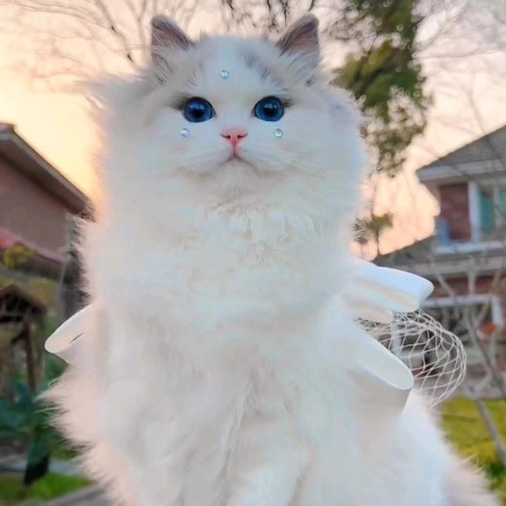 耿姐爱分享（橱窗有好物）