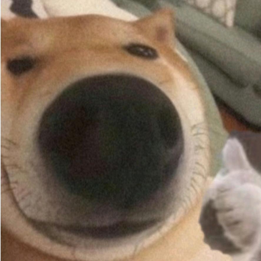 晓小先生