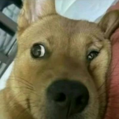 镁酩淄