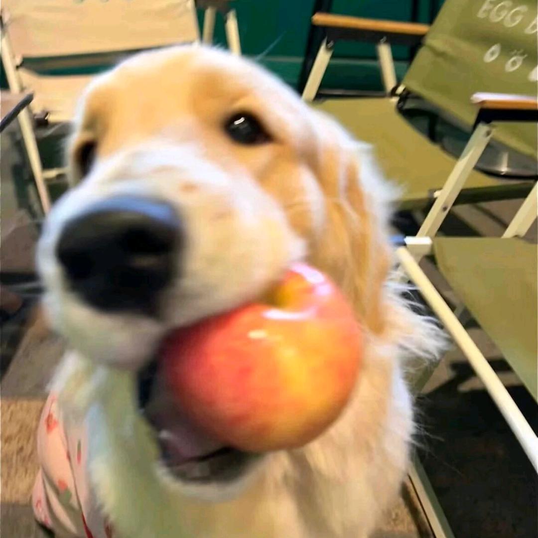 ℱℯ𝓇𝓃𝓌ℯ𝒽