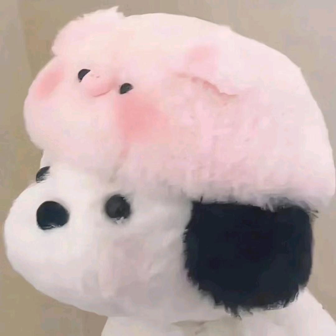 芷妍