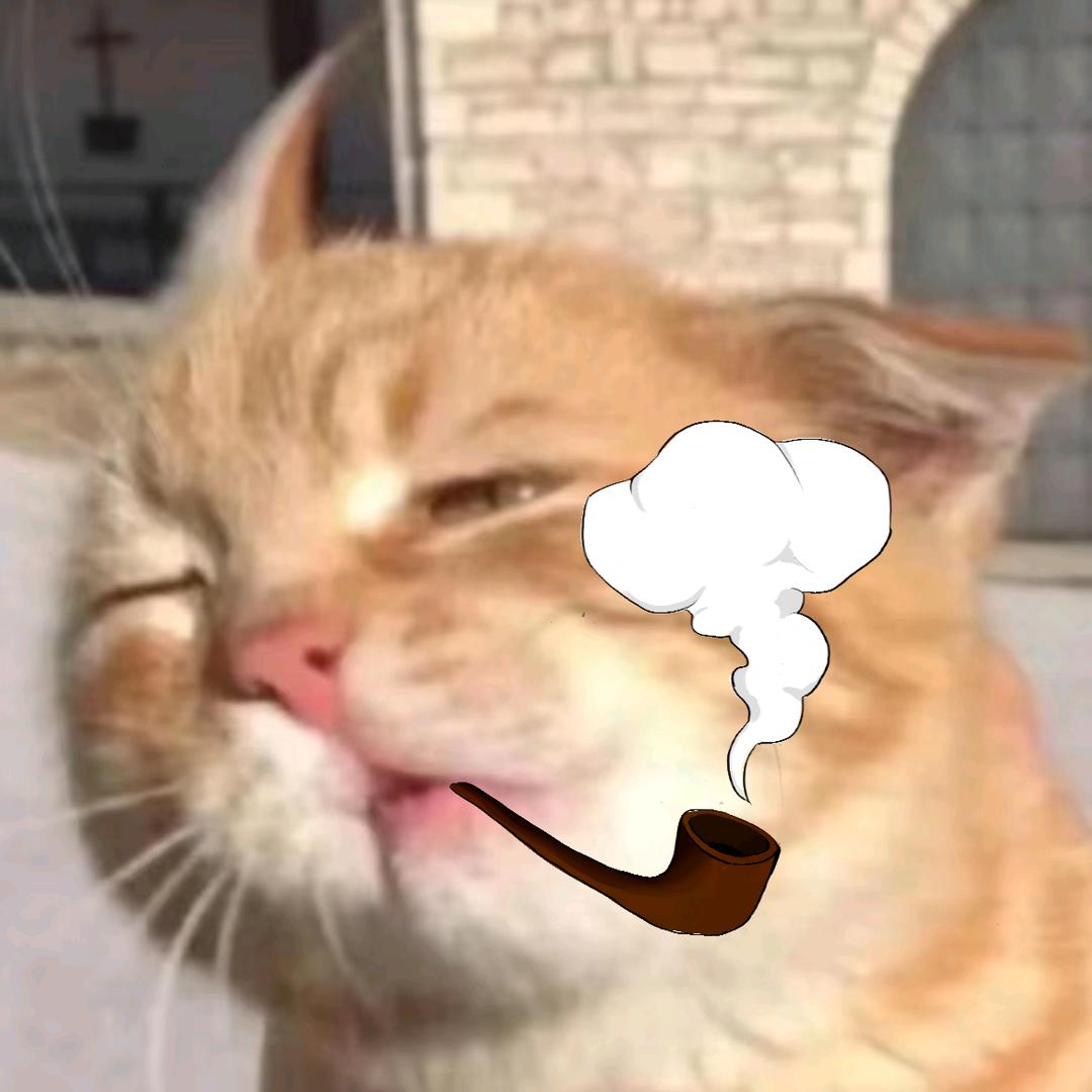 一颗猫猫头dd