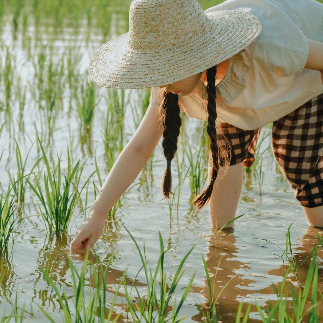 马铃薯的家