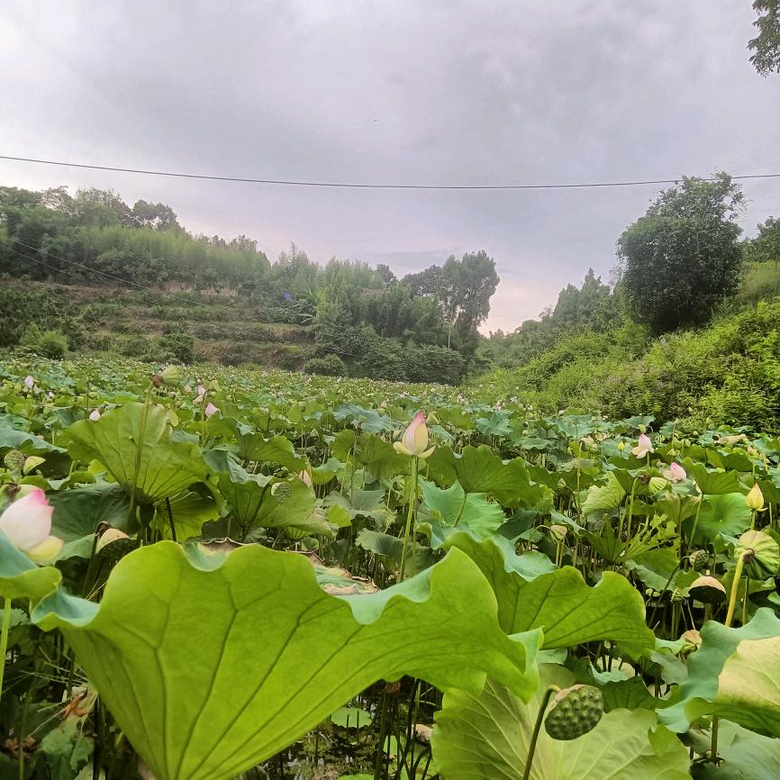 新的起点
