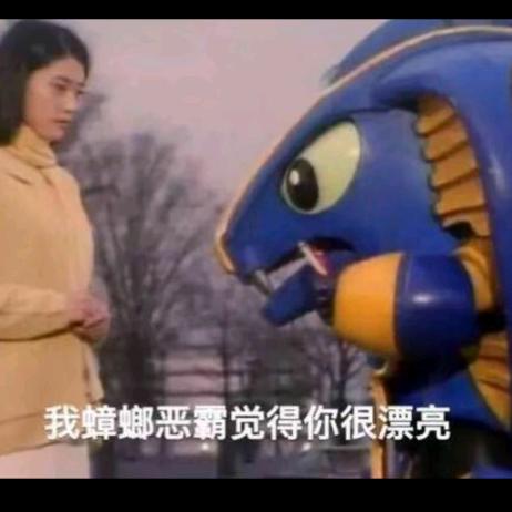 还是小六