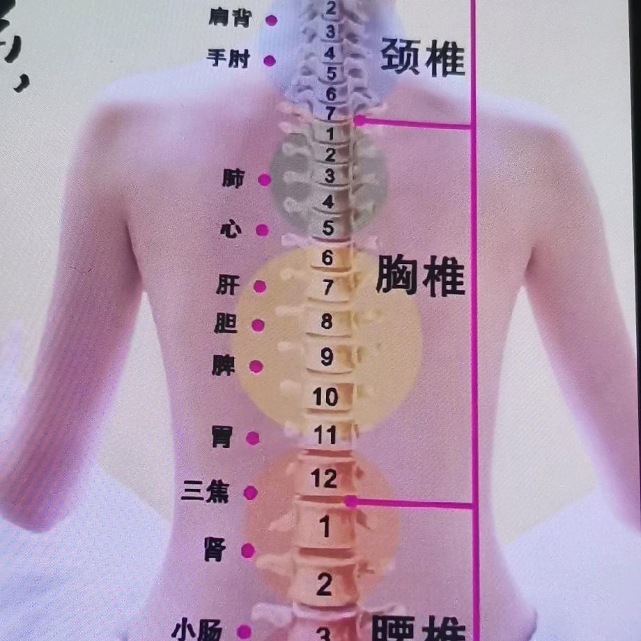 煜坤（厚德载物）