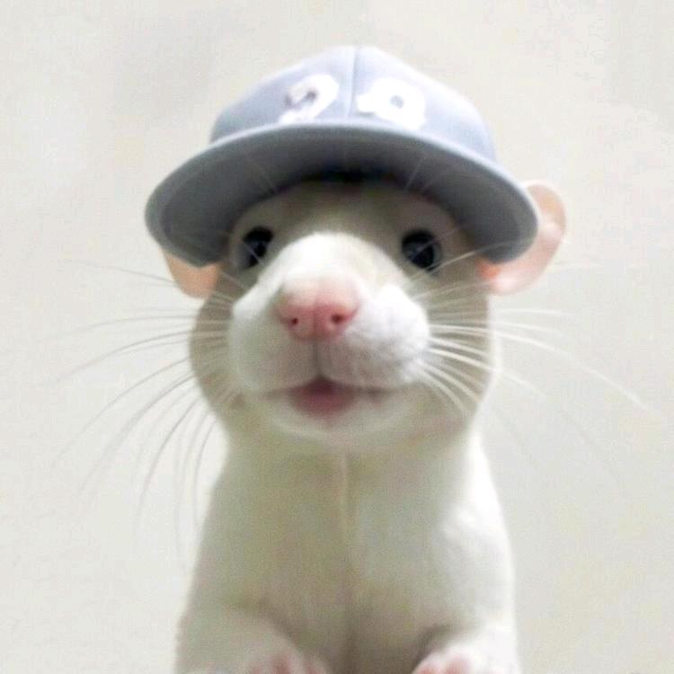 张吴迪