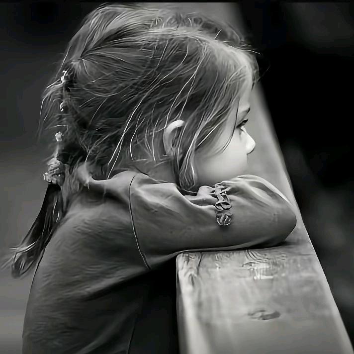 ━═☆随гゞ枫━═☆