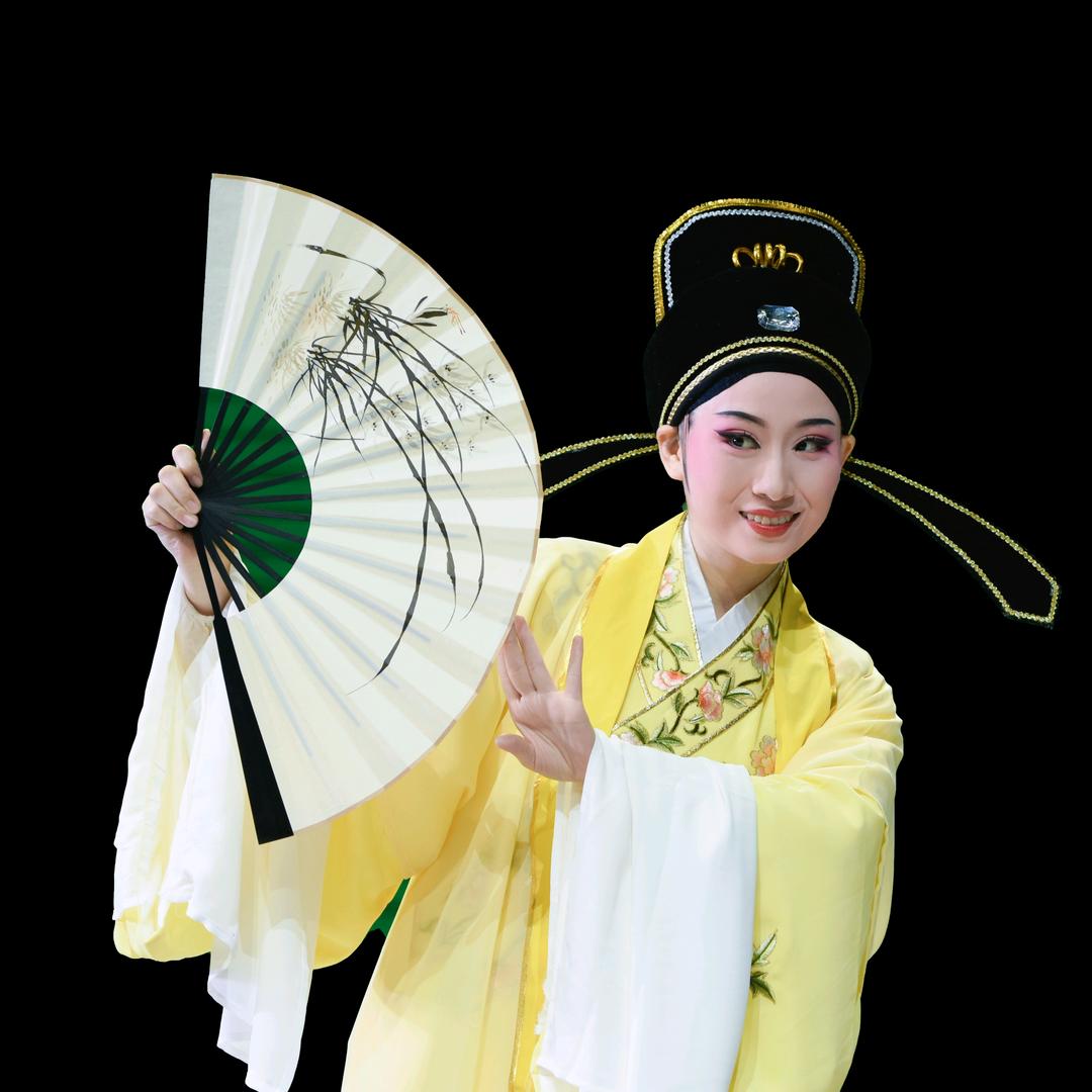 黄梅戏 许雪情☀