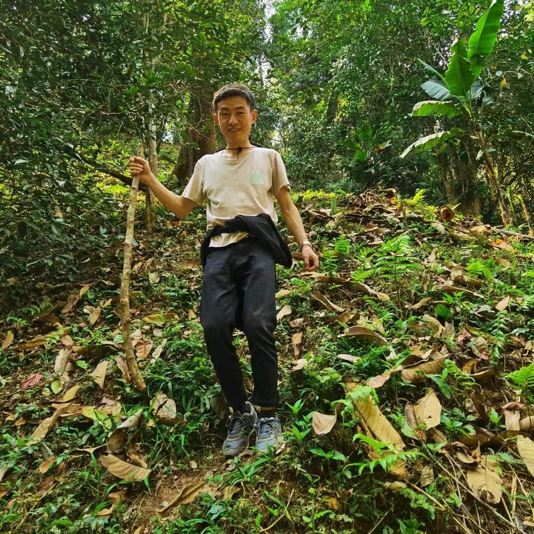 一哥藏茶