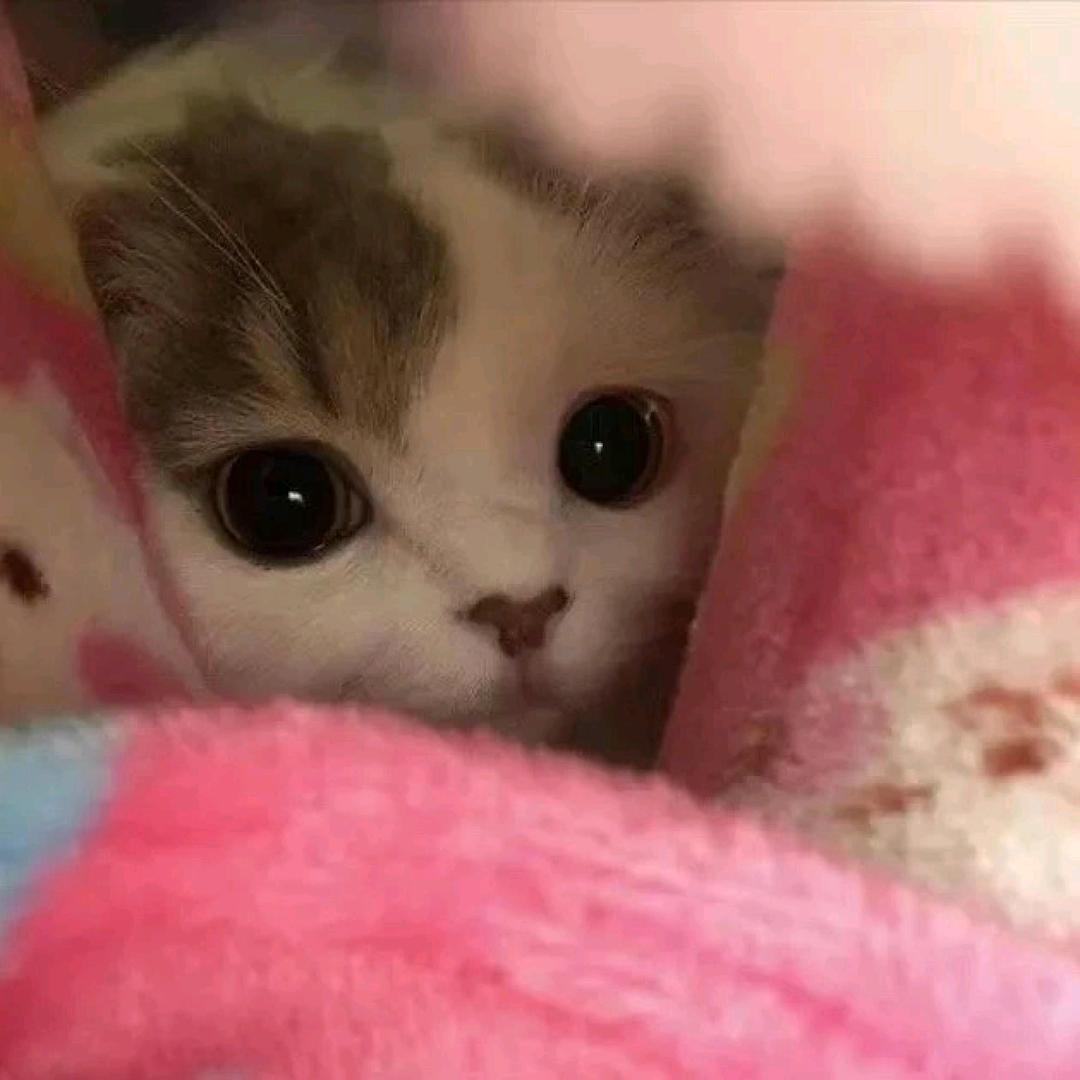想睡覺.