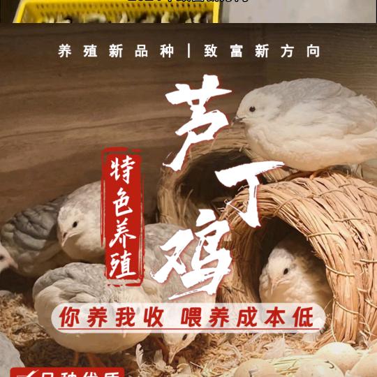 贵州鑫农人农业科技有限公司