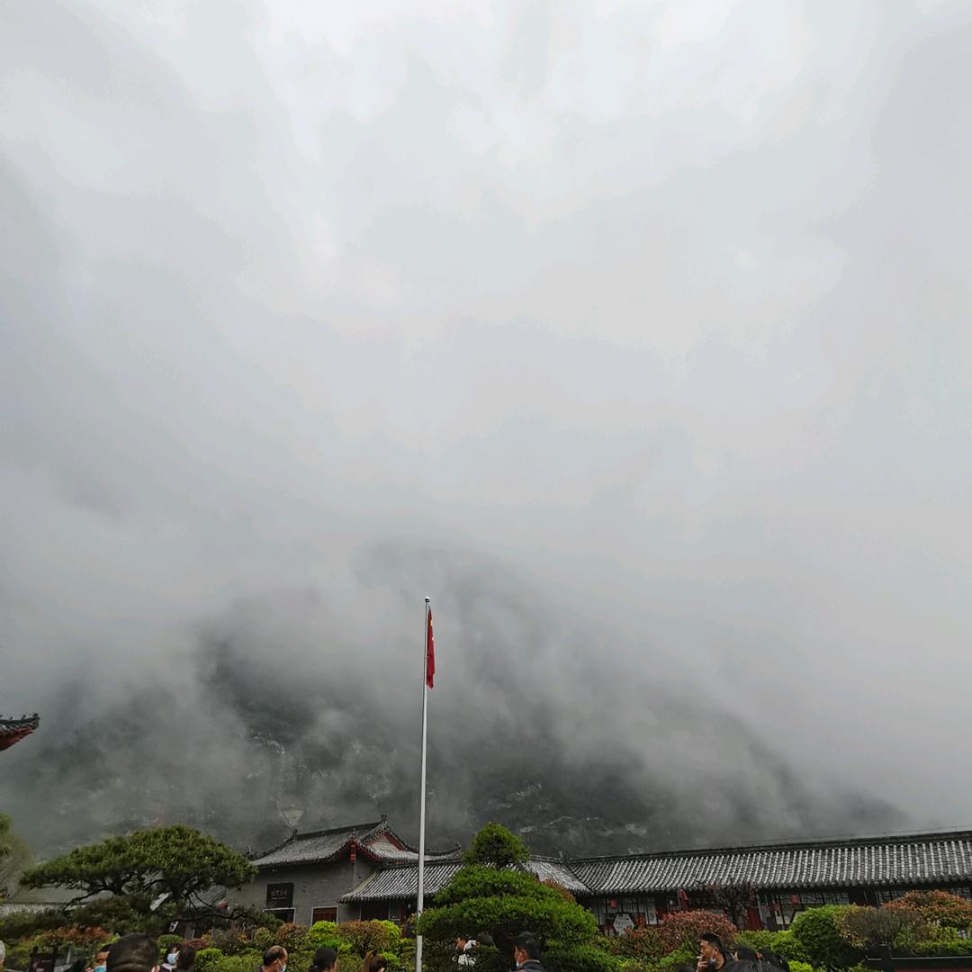 李会长