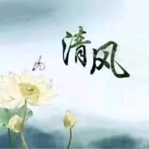 清风95533