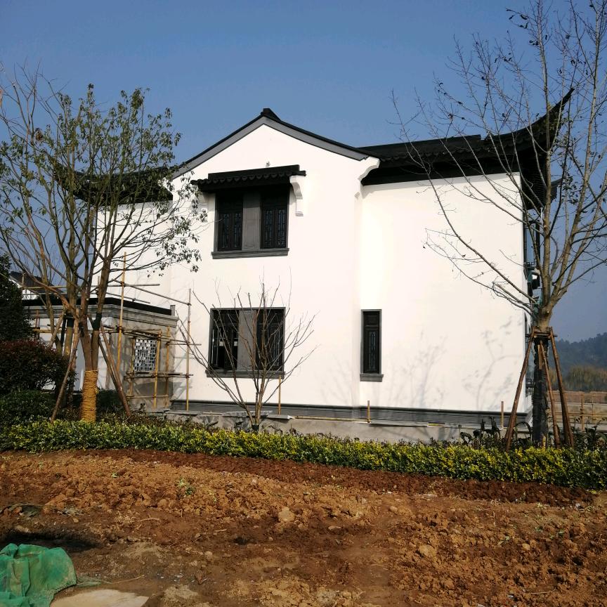 小溪里的鱼