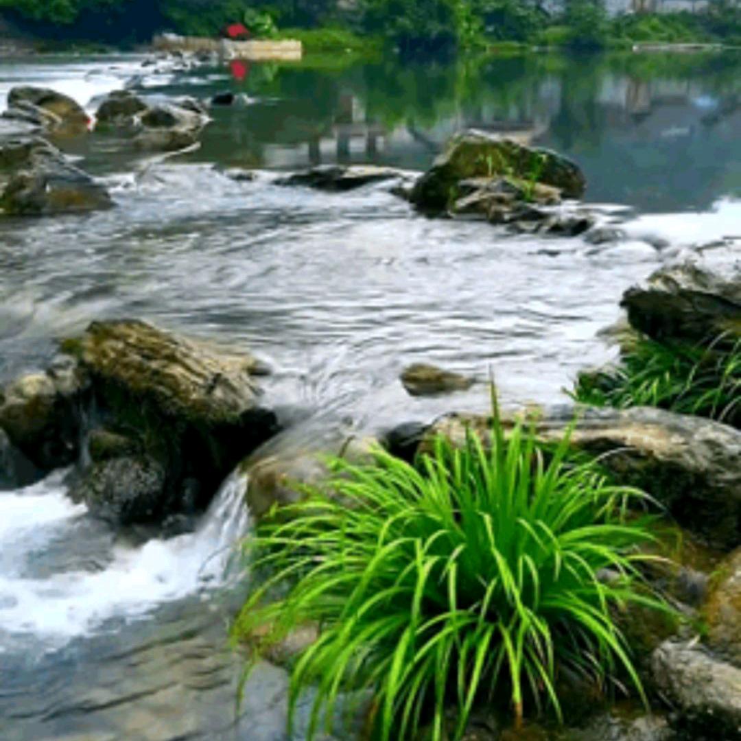 鸿运当头（发）